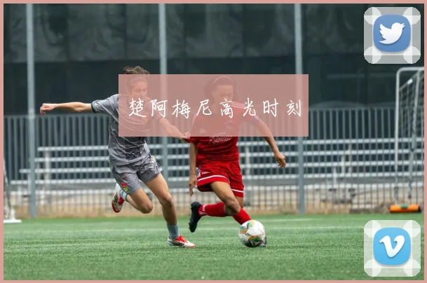 楚阿梅尼高光时刻
