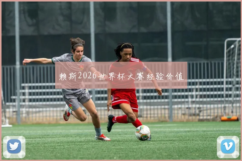 赖斯2026世界杯大赛经验价值
