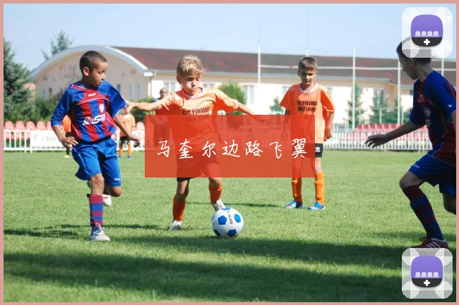 马奎尔边路飞翼
