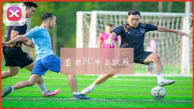 首尔FC冲击欧冠