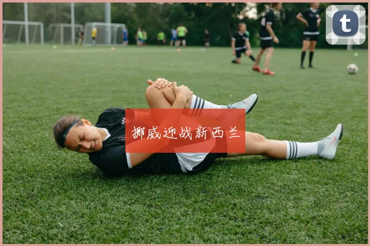 挪威迎战新西兰