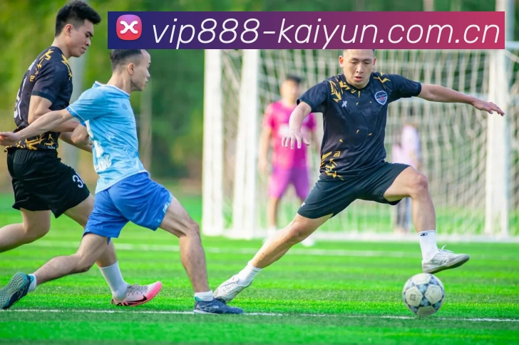 kaiyun.com下载二维码