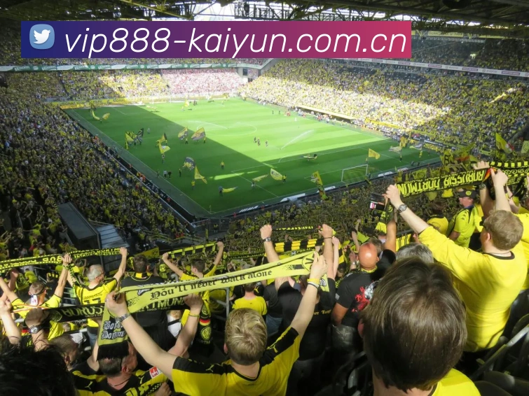 kaiyun.comAPP 封面图