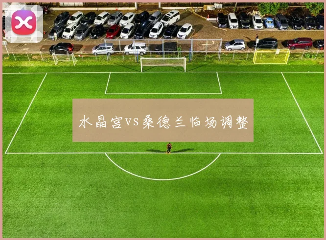 水晶宫vs桑德兰临场调整