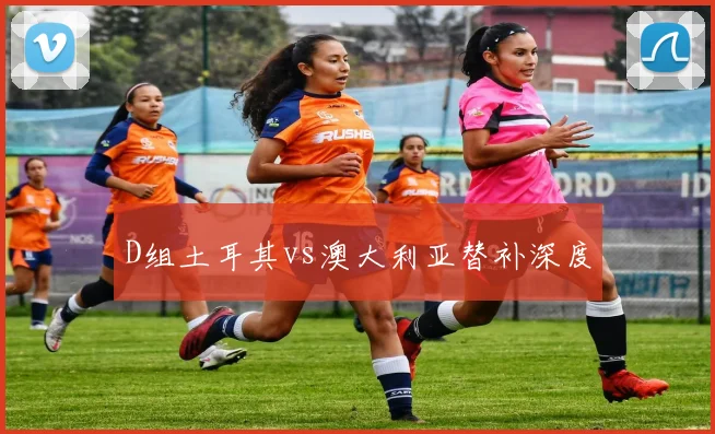 D组土耳其vs澳大利亚替补深度