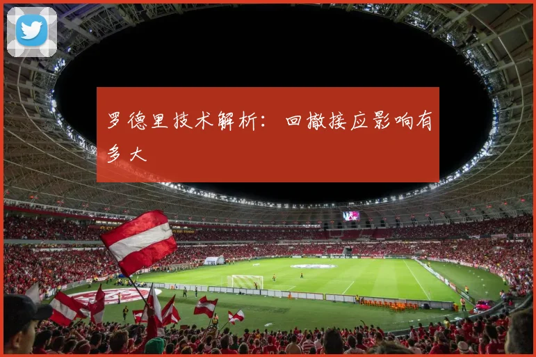罗德里技术解析：回撤接应影响有多大