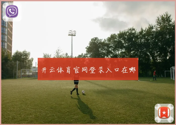开云体育官网登录入口在哪