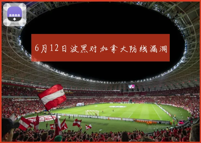 6月12日波黑对加拿大防线漏洞