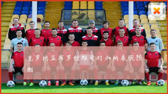 克罗地亚布罗佐维奇对加纳表现预测