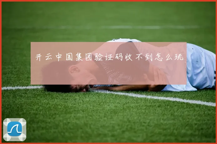 开云中国集团验证码收不到怎么玩
