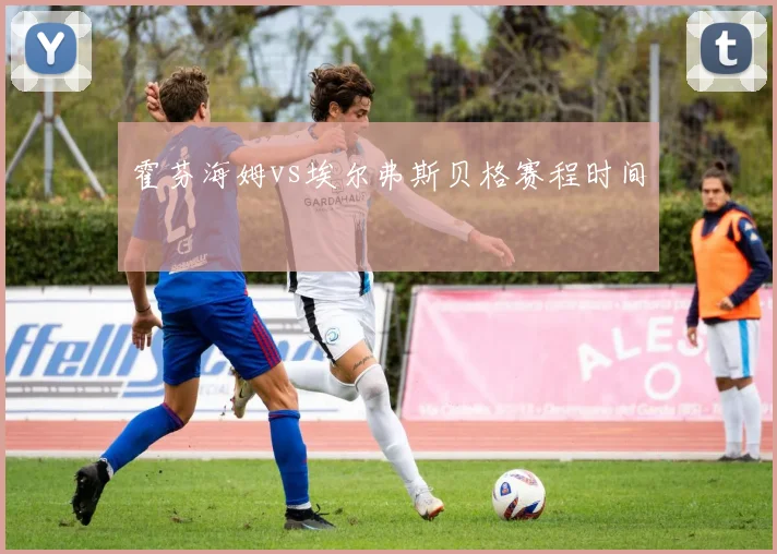 霍芬海姆vs埃尔弗斯贝格赛程时间